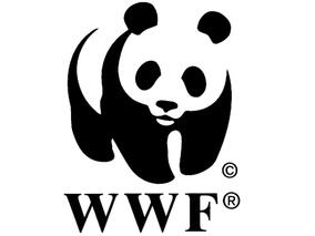 WWF и Societe Generale Експресбанк помогнаха за засаждането и възстановяването на 131 000 кв.м. гори и редки растения