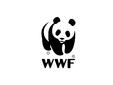 WWF: служебното правителство трябва да върне за преработка плановете за управление на Пирин, Витоша и Рила