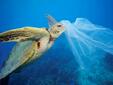 В Световния ден на океаните „Грийнпийс“ и „За Земята“ се борят с глобалното замърсяване